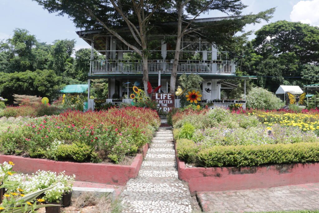 Girasoles Farm Flower Field