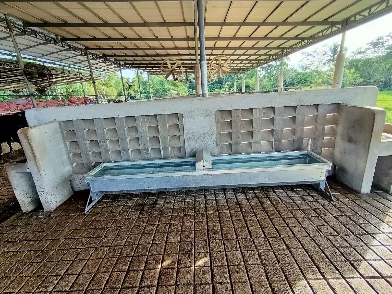 Sta Maria Dairy Farm, Training and Tours Corp.