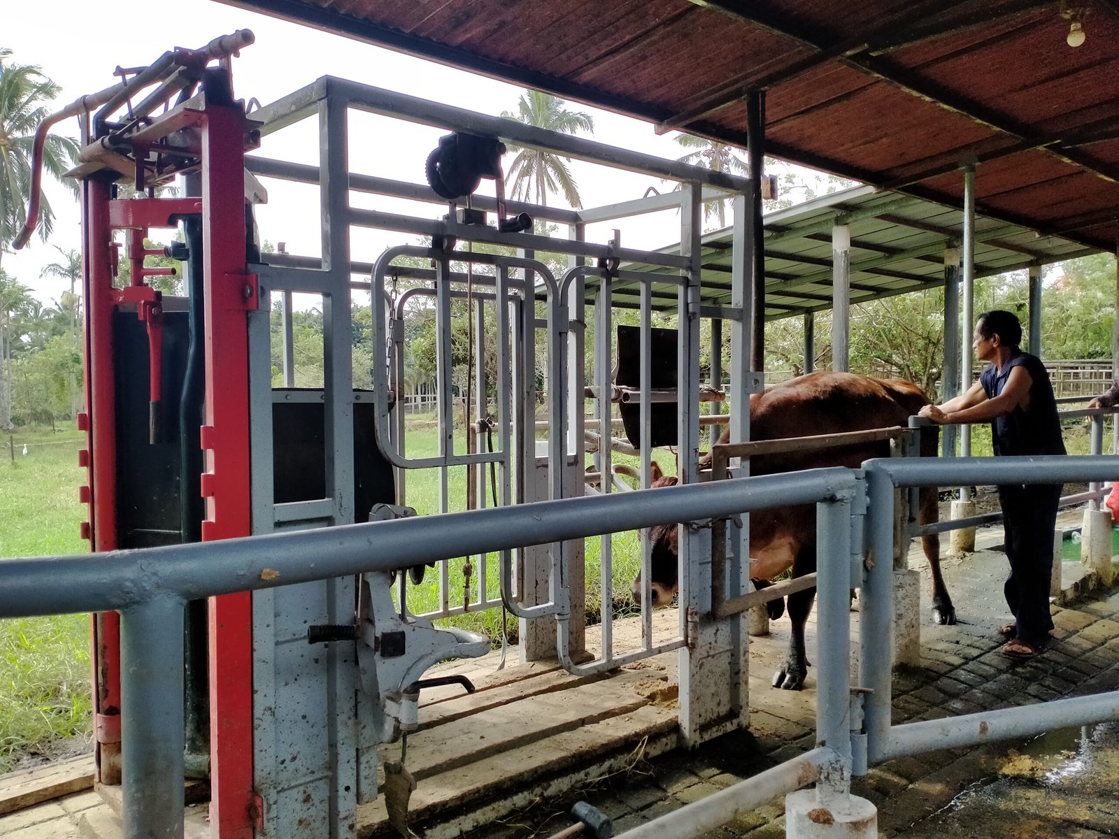 Sta Maria Dairy Farm, Training and Tours Corp.