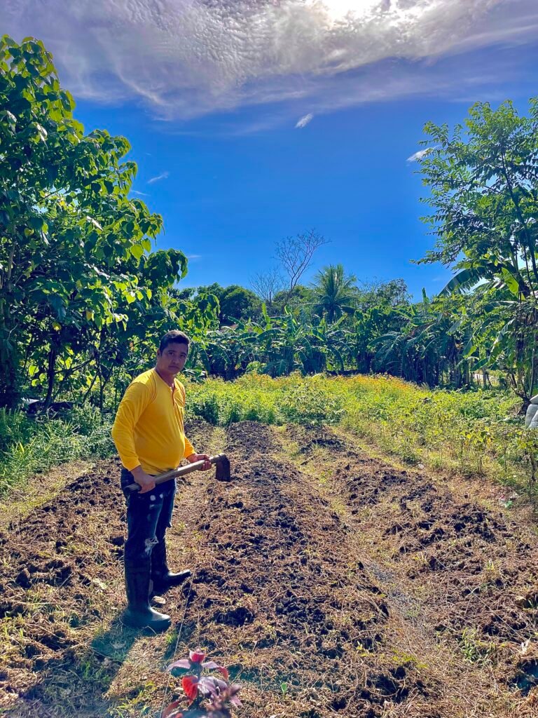 Myrtle's Agricultural Farm