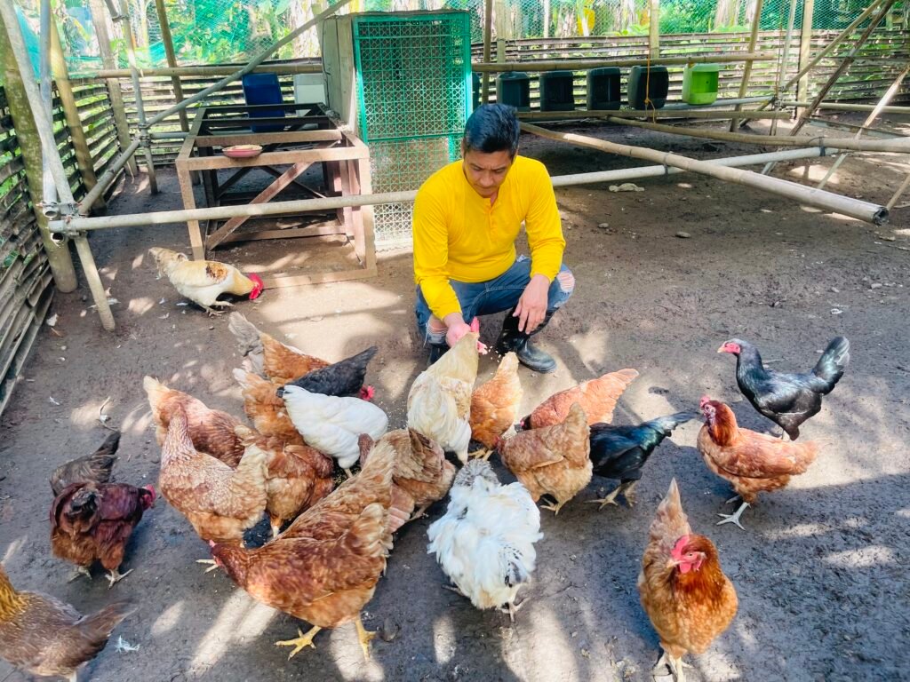 Myrtle's Agricultural Farm