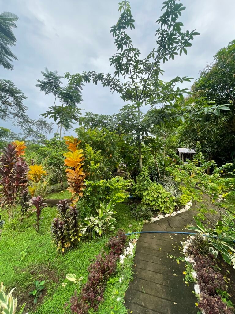 Myrtle's Agricultural Farm