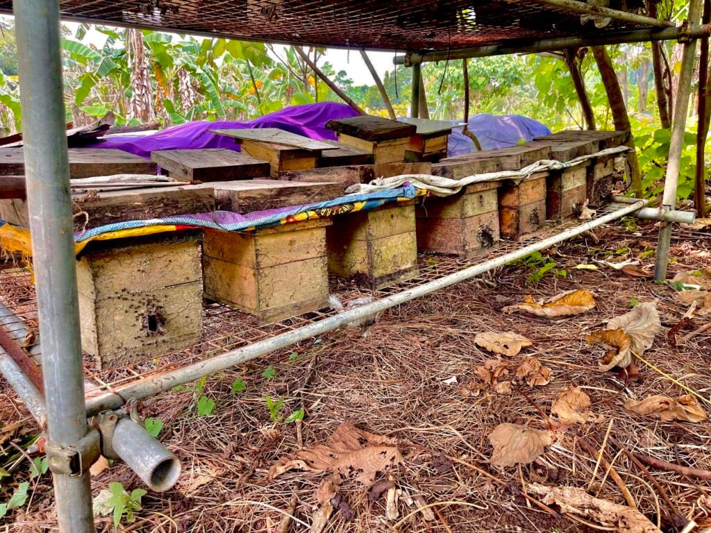 Myrtle's Agricultural Farm