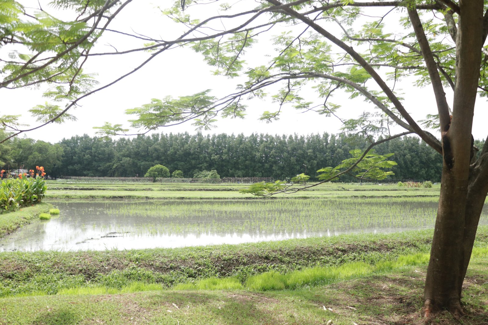 IMG_6254_villar_sipag