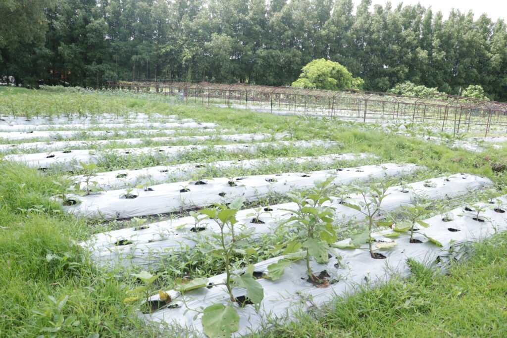 IMG_6298_villar_sipag