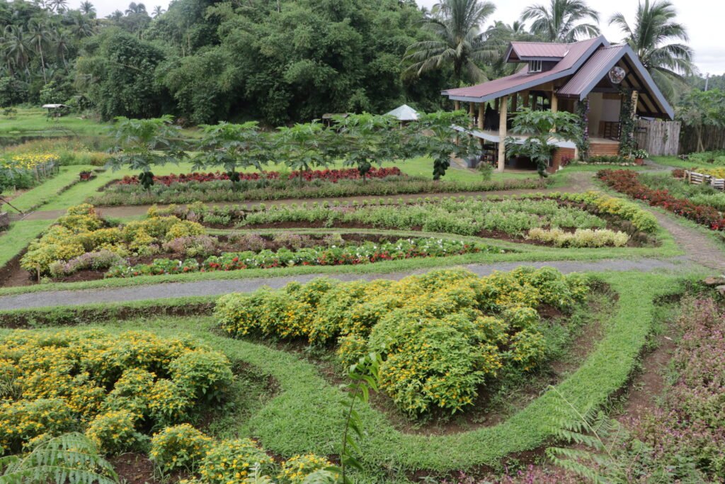 IMG_9207_bukid_amara