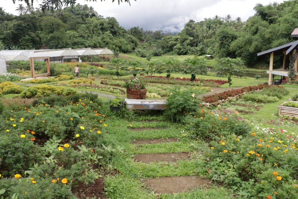 IMG_9211_bukid_amara