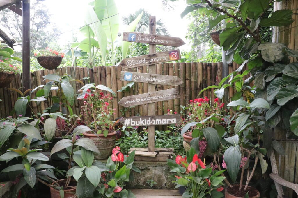 IMG_9213_bukid_amara