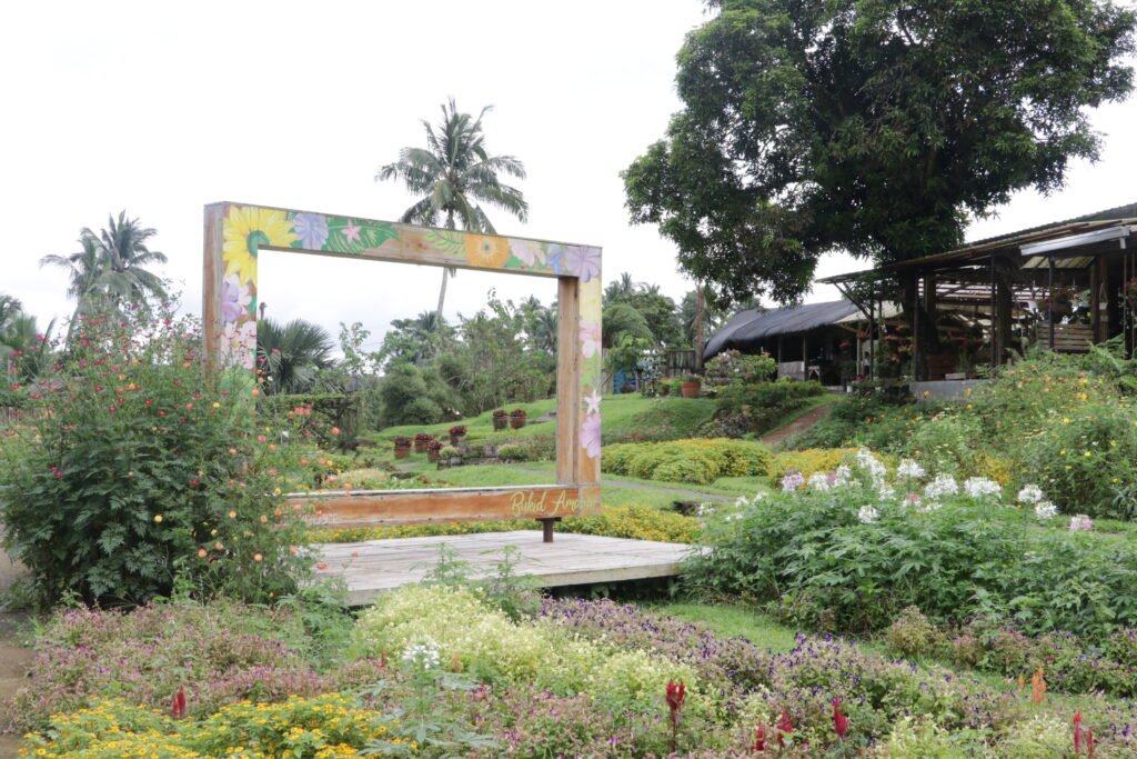 IMG_9239_bukid_amara