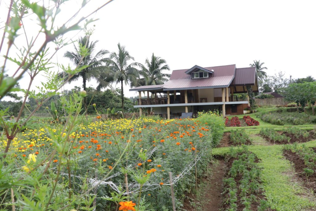 IMG_9254_bukid_amara