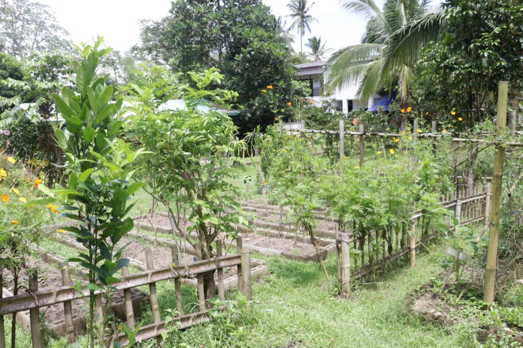 IMG_9349_gintong_bukid