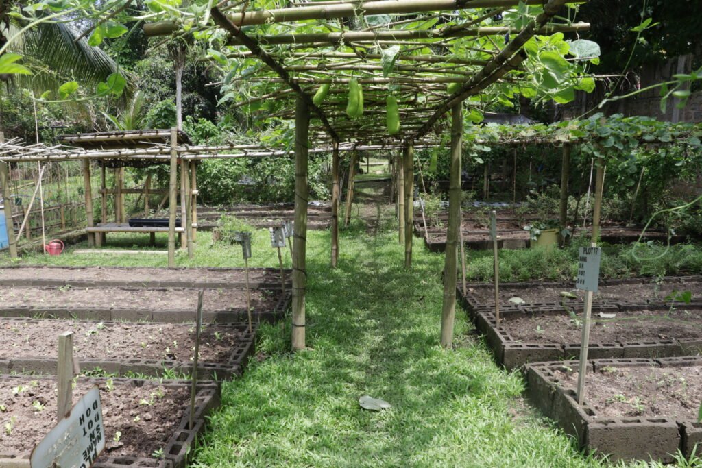 IMG_9350_gintong_bukid