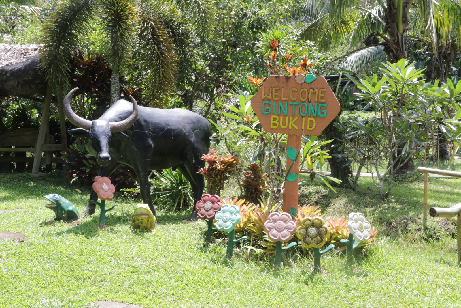 IMG_9355_gintong_bukid