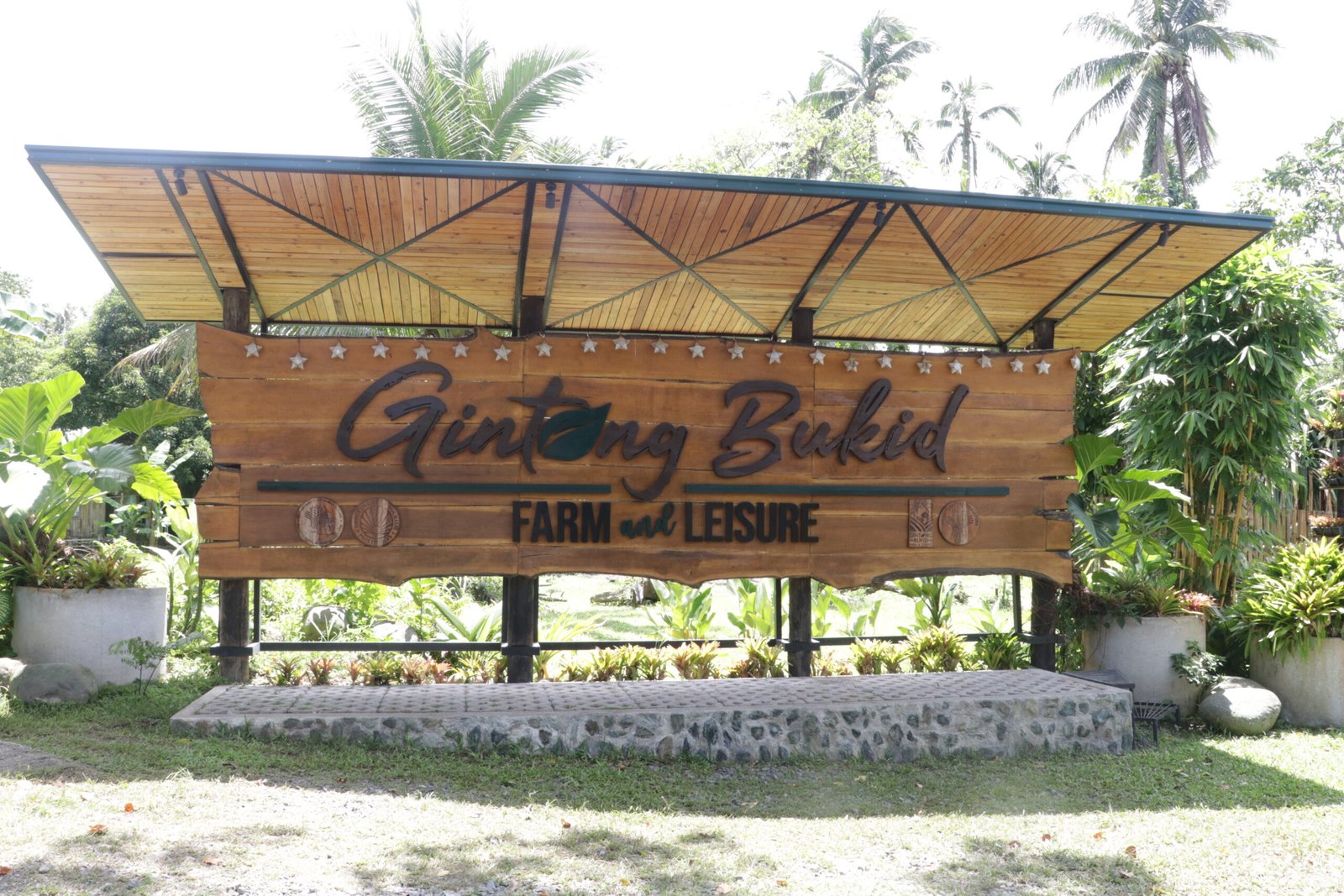 IMG_9362_gintong_bukid