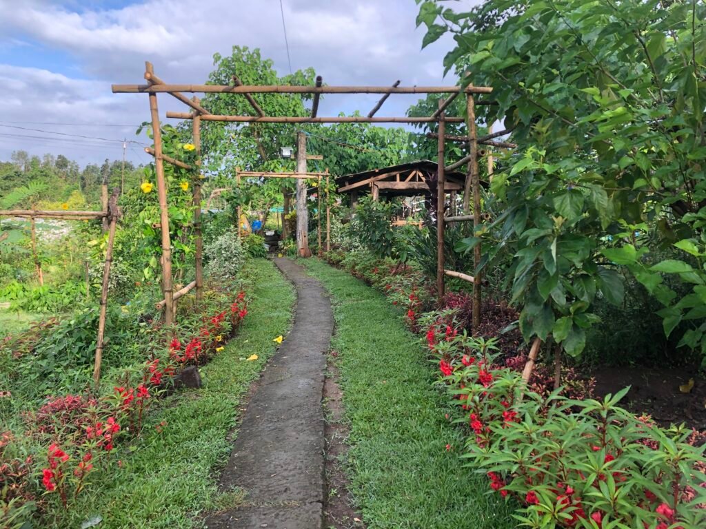 Myrtle's Agricultural Farm