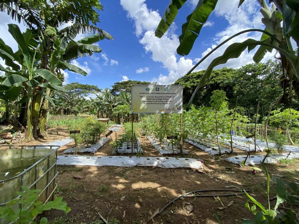 Greens for Growth (17)