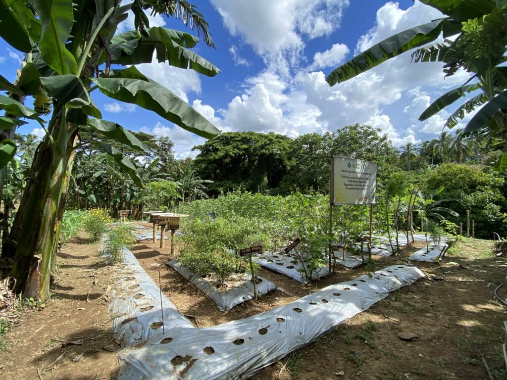 Greens for Growth (18)