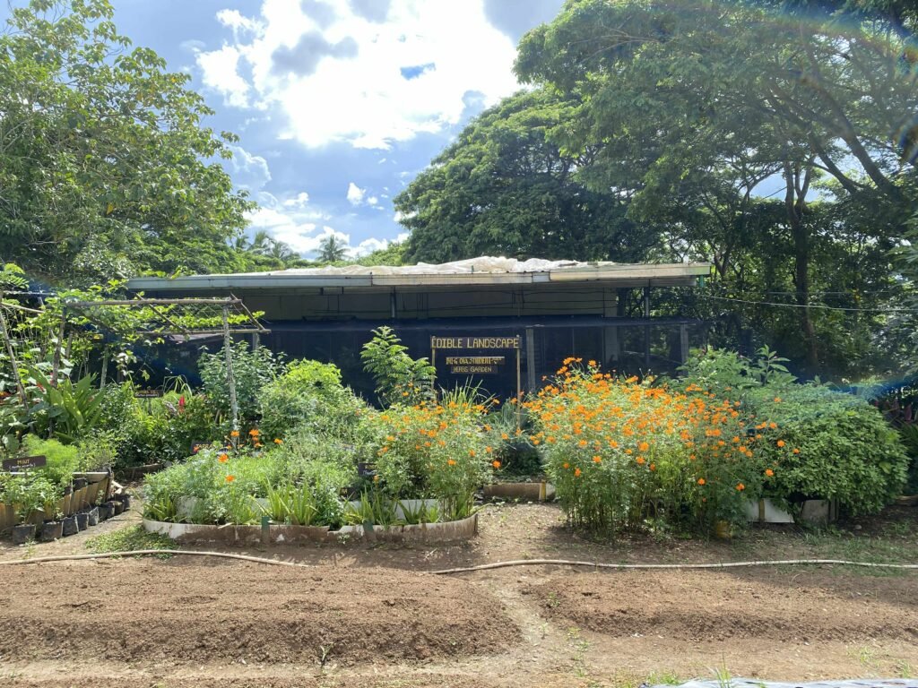 Greens for Growth (24)