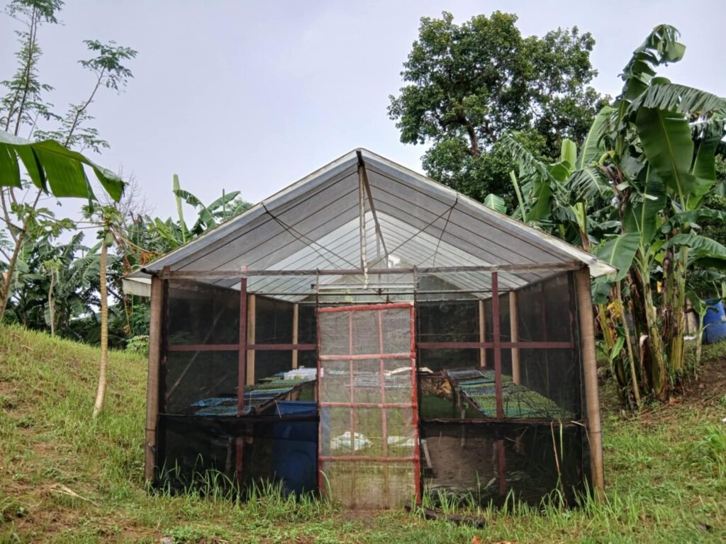 Greens for Growth (5)