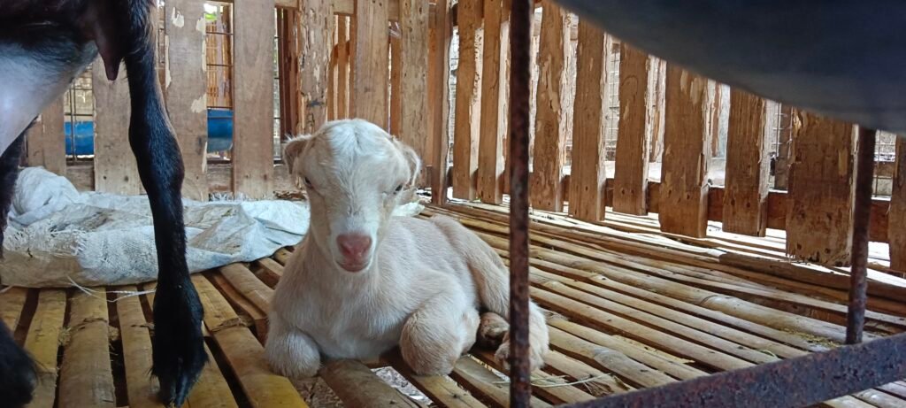 filter: 0; fileterIntensity: 0.0; filterMask: 0; captureOrientation: 0; module: photo; 
hw-remosaic: false; 
touch: (-1.0, -1.0); 
modeInfo: ; 
sceneMode: 8; 
cct_value: 5807; 
AI_Scene: (-1, -1); 
aec_lux: 45.0; 
aec_lux_index: 0; 
hist255: 0.0; 
hist252~255: 0.0; 
hist0~15: 0.0; 
albedo:  ; 
confidence:  ; 
motionLevel: 0; 
weatherinfo: null; 
temperature: 35;