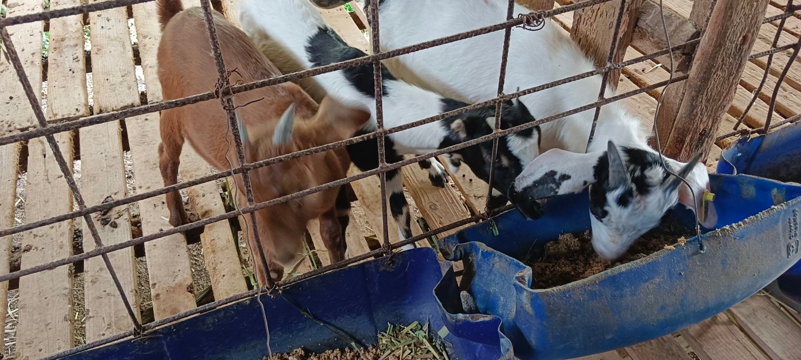 filter: 0; fileterIntensity: 0.0; filterMask: 0; captureOrientation: 0; module: photo;
hw-remosaic: false;
touch: (-1.0, -1.0);
modeInfo: ;
sceneMode: 8;
cct_value: 4708;
AI_Scene: (-1, -1);
aec_lux: 61.0;
aec_lux_index: 0;
hist255: 0.0;
hist252~255: 0.0;
hist0~15: 0.0;
albedo: ;
confidence: ;
motionLevel: 0;
weatherinfo: null;
temperature: 40;