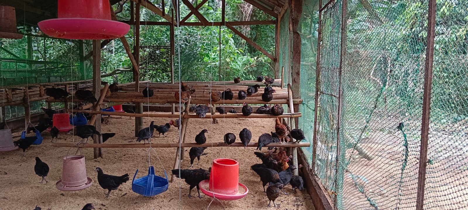 filter: 0; fileterIntensity: 0.0; filterMask: 0; captureOrientation: 0; module: photo;
hw-remosaic: false;
touch: (-1.0, -1.0);
modeInfo: ;
sceneMode: 2;
cct_value: 5115;
AI_Scene: (-1, -1);
aec_lux: 70.0;
aec_lux_index: 0;
hist255: 0.0;
hist252~255: 0.0;
hist0~15: 0.0;
albedo: ;
confidence: ;
motionLevel: 0;
weatherinfo: null;
temperature: 42;