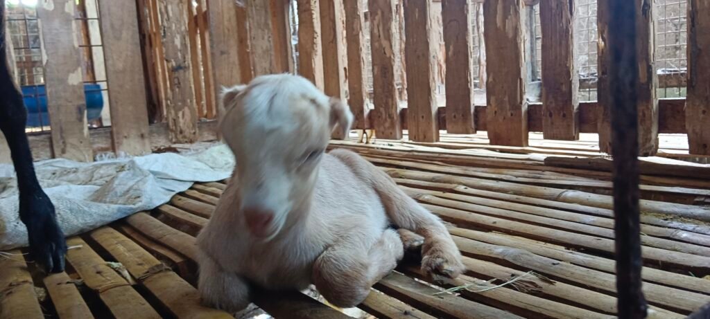 filter: 0; fileterIntensity: 0.0; filterMask: 0; captureOrientation: 0; module: photo; 
hw-remosaic: false; 
touch: (-1.0, -1.0); 
modeInfo: ; 
sceneMode: 8; 
cct_value: 5807; 
AI_Scene: (-1, -1); 
aec_lux: 48.0; 
aec_lux_index: 0; 
hist255: 0.0; 
hist252~255: 0.0; 
hist0~15: 0.0; 
albedo:  ; 
confidence:  ; 
motionLevel: 0; 
weatherinfo: null; 
temperature: 38;