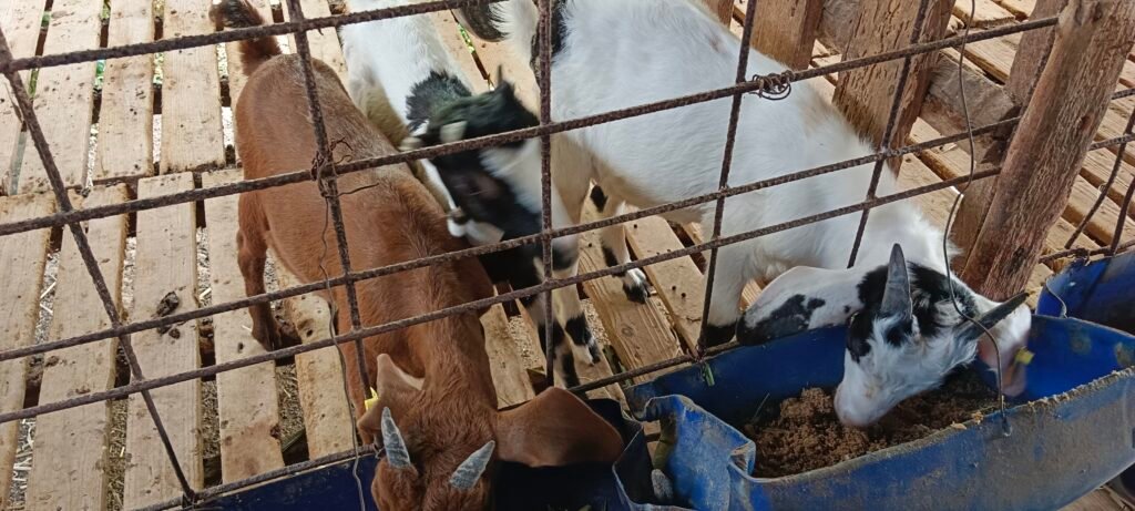 filter: 0; fileterIntensity: 0.0; filterMask: 0; captureOrientation: 0; module: photo; 
hw-remosaic: false; 
touch: (-1.0, -1.0); 
modeInfo: ; 
sceneMode: 8; 
cct_value: 5230; 
AI_Scene: (-1, -1); 
aec_lux: 63.0; 
aec_lux_index: 0; 
hist255: 0.0; 
hist252~255: 0.0; 
hist0~15: 0.0; 
albedo:  ; 
confidence:  ; 
motionLevel: 0; 
weatherinfo: null; 
temperature: 38;